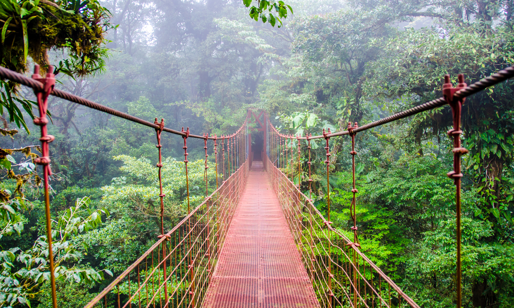 Costa Rica Bridge