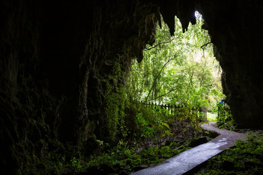 Waitomo Glowworm Caves, New Zealand