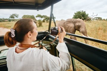 safari with elephants