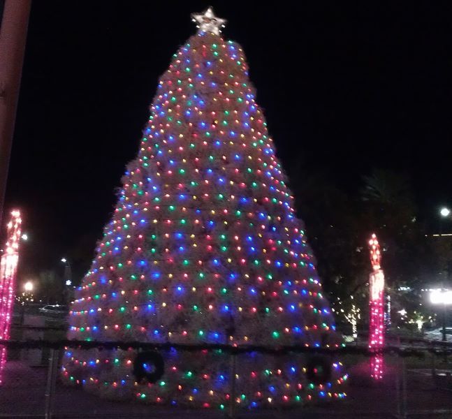 Tumbleweed Christmas Tree by Johnathan licensed under CC BY-NC-SA 2.0 DEED