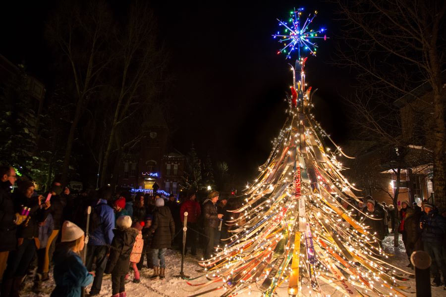 Telluride Ski Tree - Colorado 