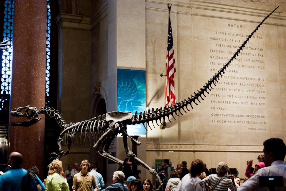 American Museum of Natural History in New York City