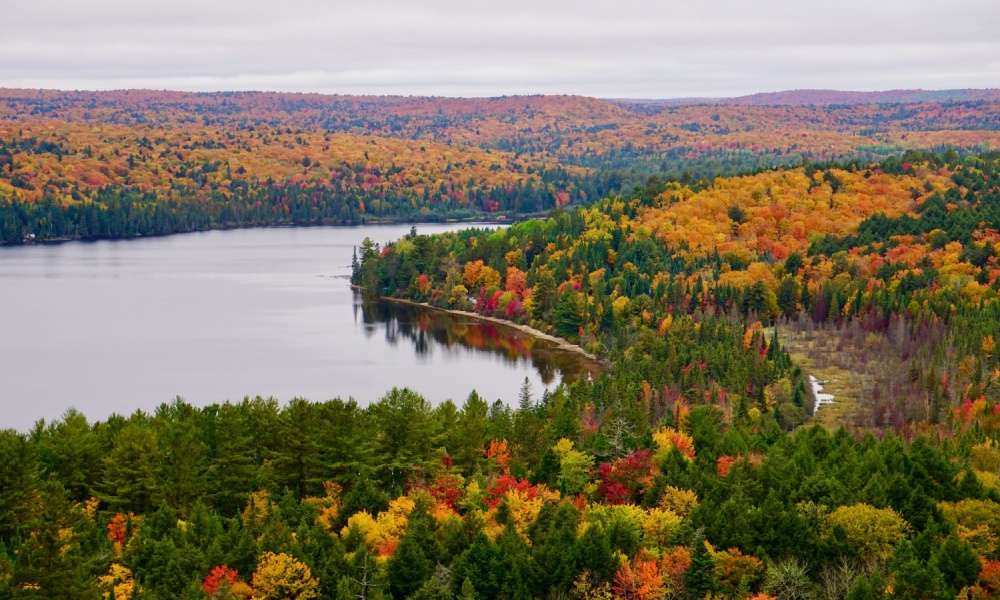 Algonquin Provincial Park