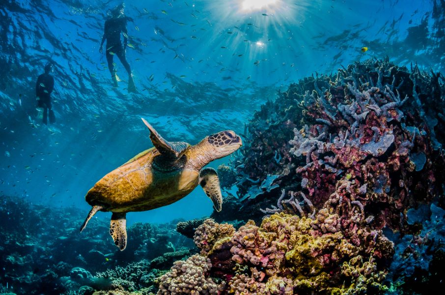 Great Barrier Reef, Australia