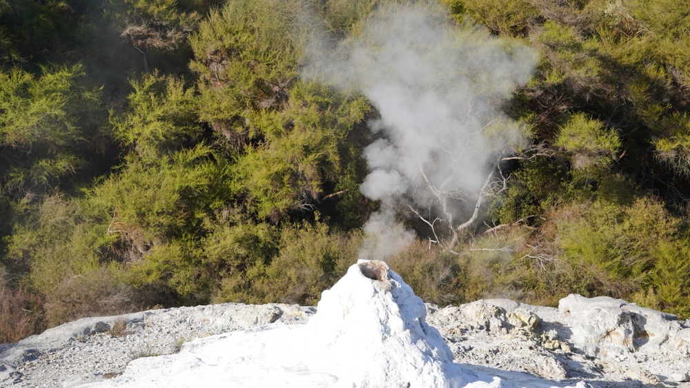 Lady Knox's geyser attraction in Wai-O-Tapu Thermal Wonderland.