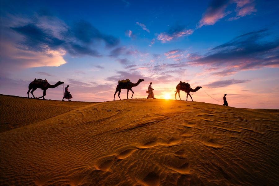 Thar Desert