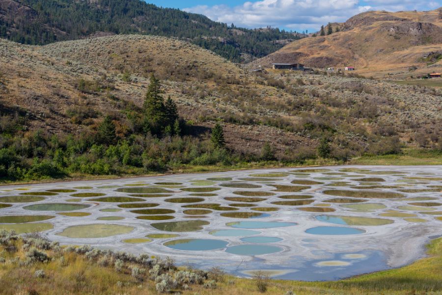 Spotted Lake, British Columbia