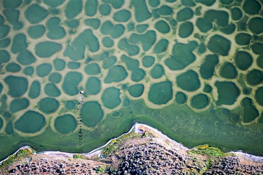 Spotted Lake, aerial view