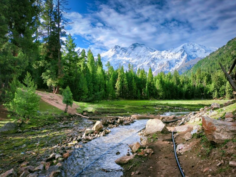 Fairy Meadows ,Nanga parbat Gilgit Baltistan